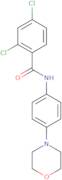 2,4-Dichloro-N-[4-(morpholin-4-yl)phenyl]benzamide