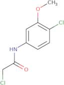 2-Chloro-N-(4-chloro-3-methoxyphenyl)acetamide
