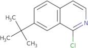 7-tert-Butyl-1-chloroisoquinoline