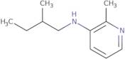 2-Methyl-N-(2-methylbutyl)pyridin-3-amine