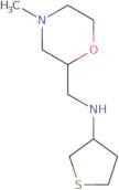 N-[(4-Methylmorpholin-2-yl)methyl]thiolan-3-amine