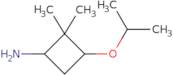 2,2-Dimethyl-3-(propan-2-yloxy)cyclobutan-1-amine