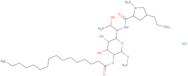 Lincomycin 2-palmitate hydrochloride