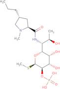 Lincomycin 2-phosphate