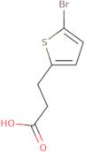 3-(5-Bromothiophen-2-yl)propanoic acid