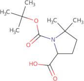 1-[(tert-butoxy)carbonyl]-5,5-dimethylpyrrolidine-2-carboxylic acid