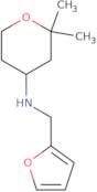 (2,2-Dimethyl-tetrahydro-pyran-4-yl)-furan-2-ylmethyl-amine