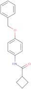 Cyclobutanecarboxylic acid (4-benzyloxy-phenyl)-amide