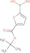 5-tert-Butoxycarbonylthiophene-2-boronic acid