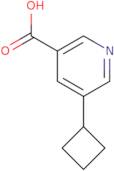 5-Cyclobutylpyridine-3-carboxylic acid