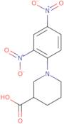 1-(2,4-Dinitrophenyl)piperidine-3-carboxylic acid