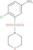4-Chloro-3-(morpholine-4-sulfonyl)-phenylamine