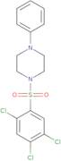 2,4,5-trichloro-1-((4-phenylpiperazinyl)sulfonyl)benzene