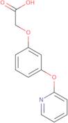 2-[3-(Pyridin-2-yloxy)phenoxy]acetic acid