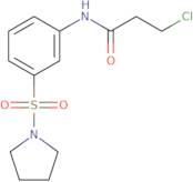 3-Chloro-N-[3-(pyrrolidine-1-sulfonyl)phenyl]propanamide