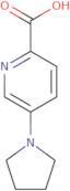 5-(Pyrrolidin-1-yl)pyridine-2-carboxylic acid