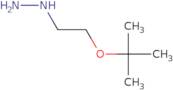 [2-(tert-Butoxy)ethyl]hydrazine