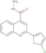 2-(5-Chlorothiophen-2-yl)quinoline-4-carboxylic acid hydrazide