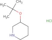 3-(tert-Butoxy)piperidine hydrochloride