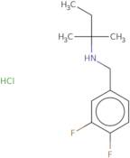 [(3,4-Difluorophenyl)methyl](2-methylbutan-2-yl)amine hydrochloride