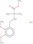 Methyl 2-{[(2,3-dimethoxyphenyl)methyl]amino}-2-methylpropanoate hydrochloride