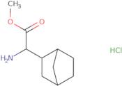 Methyl 2-amino-2-{bicyclo[2.2.1]heptan-2-yl}acetate hydrochloride