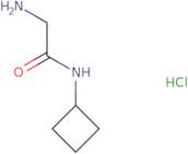 2-Amino-N-cyclobutylacetamide hydrochloride