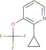 2-Chloro-4-(piperidin-1-yl)phenylboronic acid