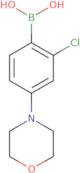 2-Chloro-4-(morpholino)phenylboronic acid