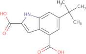 6-tert-Butylindole-2,4-dicarboxylic acid