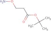 tert-Butyl 3-methoxypropanoate