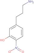 5-(3-Aminopropyl)-2-nitrophenol