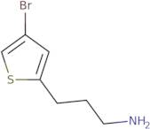 3-(4-Bromothiophen-2-yl)propan-1-amine