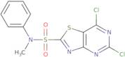 5,7-Dichloro-N-methyl-N-phenylthiazolo[4,5-d]pyrimidine-2-sulfonamide