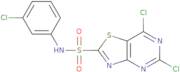 5,7-Dichloro-N-(3-chlorophenyl)thiazolo[4,5-d]pyrimidine-2-sulfonamide