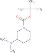 1-(tert-Butyloxycarbonyl)-3-dimethylaminopiperidine
