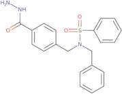N-Benzyl-N-[4-(hydrazinocarbonyl)benzyl]benzenesulfonamide