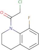 2-Chloro-1-(8-fluoro-1,2,3,4-tetrahydroquinolin-1-yl)ethan-1-one