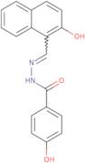 MEISi-2