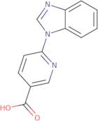 6-(1H-1,3-Benzodiazol-1-yl)pyridine-3-carboxylic acid