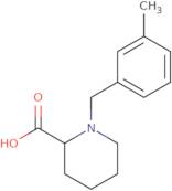 1-[(3-Methylphenyl)methyl]piperidine-2-carboxylic acid