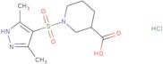 1-[(3,5-Dimethyl-1H-pyrazol-4-yl)sulfonyl]piperidine-3-carboxylic acid hydrochloride