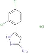 5-(2,4-Dichloro-phenyl)-2H-pyrazol-3-ylamine hydrochloride