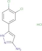 5-Amino-3-(3,4-dichlorophenyl)pyrazole Hydrochloride