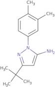 3-tert-Butyl-1-(3,4-dimethylphenyl)-1H-pyrazol-5-amine