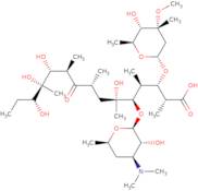 seco erythromycin