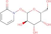 STAADIUM™ GalactoZide I