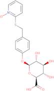 STAADIUM™ GlucuroniZide