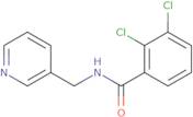 2,3-Dichloro-N-(pyridin-3-ylmethyl)benzamide