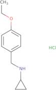 N-(4-Ethoxybenzyl)cyclopropanamine hydrochloride